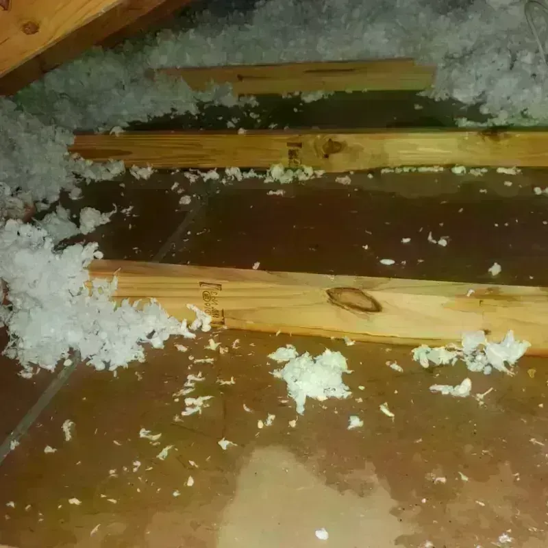 Attic Water Damage in Fort Hunt, VA